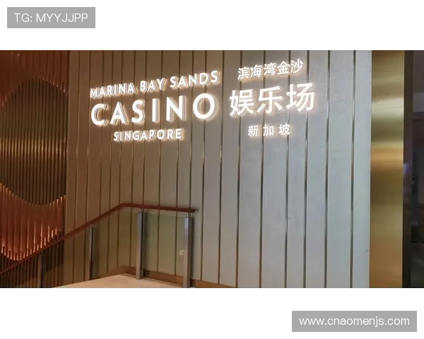 新加坡金沙娱乐的安全保障措施与隐私保护政策全面解析