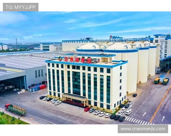 金沙河面业集团如何应对行业挑战，实现可持续发展与企业转型升级