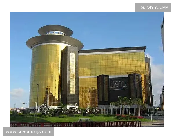 金沙澳门官方合作伙伴介绍，携手共创澳门博彩行业的辉煌未来